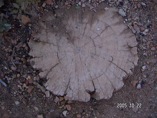 Bryce Canyon -- Queen's Garden Trail