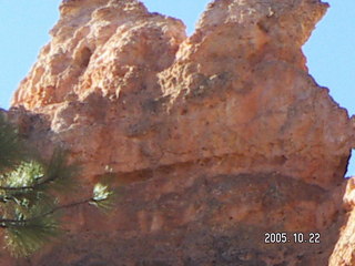 113 5ln. Bryce Canyon -- Queen's Garden Trail