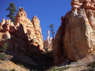 Bryce Canyon -- Queen's Garden Trail