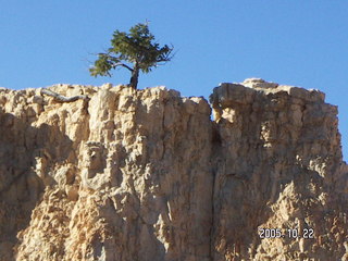 85 5ln. Bryce Canyon -- Queen's Garden Trail