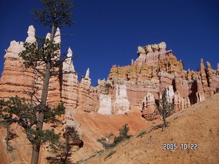 99 5ln. Bryce Canyon -- Queen's Garden Trail