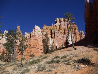 101 5ln. Bryce Canyon -- Queen's Garden Trail