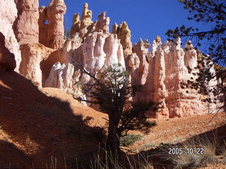 104 5ln. Bryce Canyon -- Queen's Garden Trail