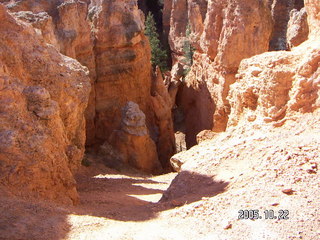 Bryce Canyon -- Peek-a-boo Loop with the moon