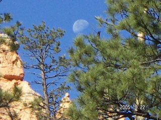 Bryce Canyon -- to Peek-a-boo Loop with the moon