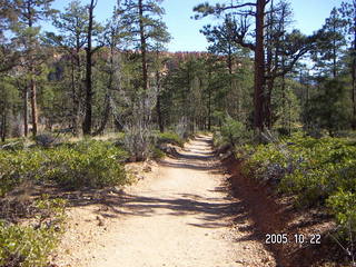 127 5ln. Bryce Canyon -- to Peek-a-boo Loop