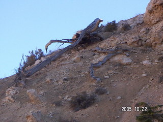 173 5ln. Bryce Canyon -- Peek-a-boo Loop