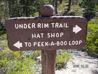 Bryce Canyon -- Peek-a-boo Loop