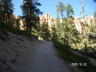 255 5ln. Bryce Canyon -- Peek-a-boo Loop