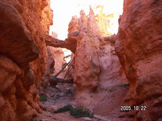 256 5ln. Bryce Canyon -- Navajo Loop -- twin bridges