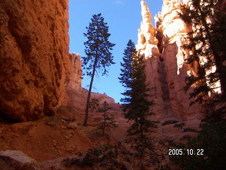 259 5ln. Bryce Canyon -- Navajo Loop