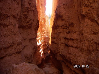 274 5ln. Bryce Canyon -- Navajo Loop -- Wall Street