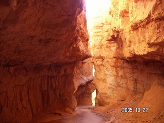 275 5ln. Bryce Canyon -- Navajo Loop -- Wall Street