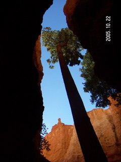 Bryce Canyon -- Navajo Loop -- Sunset Point