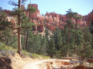 279 5ln. Bryce Canyon -- Navajo Loop