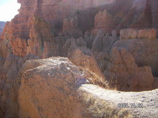 319 5ln. Bryce Canyon -- Queen's Garden trail