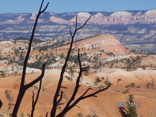 304 5ln. Bryce Canyon -- Queen's Garden trail -- Sinking Ship