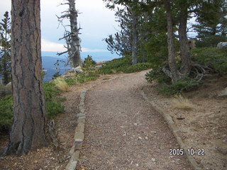 355 5ln. Bryce Canyon -- Bristlecone Loop Trail