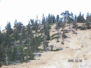 357 5ln. Bryce Canyon -- Bristlecone Loop Trail