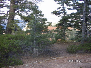 338 5ln. Bryce Canyon -- Bristlecone Loop Trail