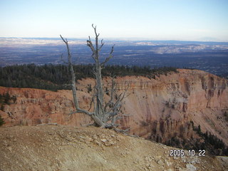 350 5ln. Bryce Canyon -- Bristlecone Loop Trail