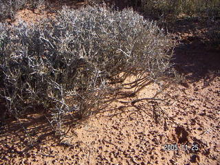 aerial -- Arches National Park area