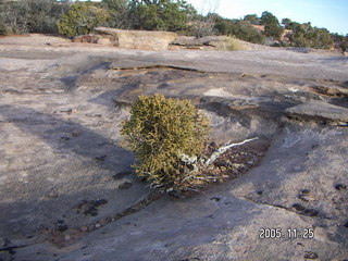 Dead Horse Point -- Shelter -- Did Frank Lloyd Wright design this as a home?