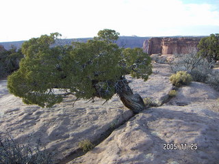 Dead Horse Point -- Layer Cake of Time sign