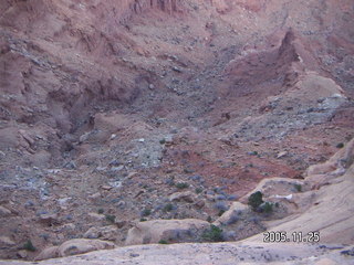 Dead Horse Point shubbery and mountains in the distance