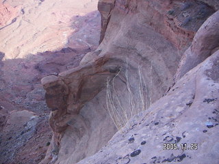 Dead Horse Point trail