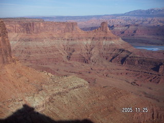 Dead Horse Point trail shrub