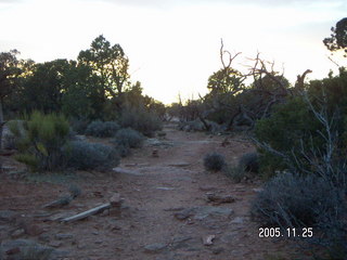 Dead Horse Point trail