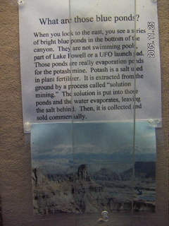 Dead Horse Point trail, shrubs, and canyon view