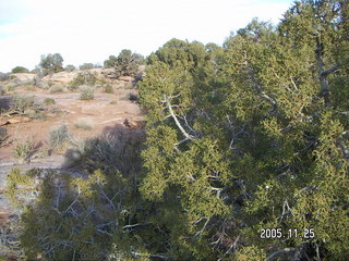 Dead Horse Point canyon view