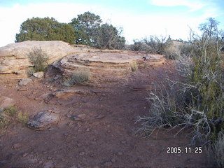 Dead Horse Point canyon view