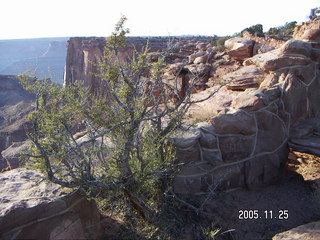 Dead Horse Point canyon view