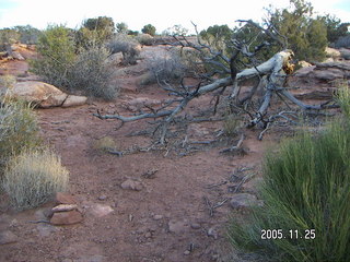 Dead Horse Point canyon view