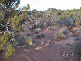 Dead Horse Point canyon view
