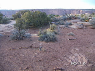 Dead Horse Point canyon view