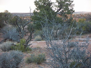 Dead Horse Point slickrock trail and rocks in the distance