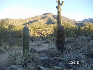 Lorimar Park -- winter wonderland run
