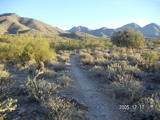 Lorimar Park -- winter wonderland run
