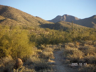 Lorimar Park -- winter wonderland run