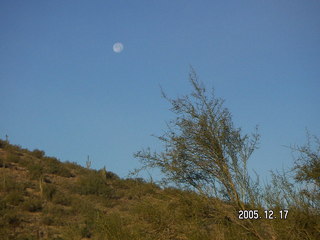 Lost Dog Wash run with the moon