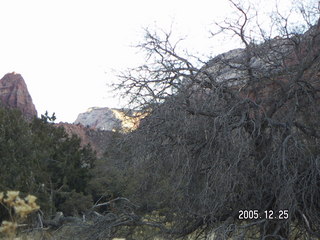 Zion National Park -- Virgin River