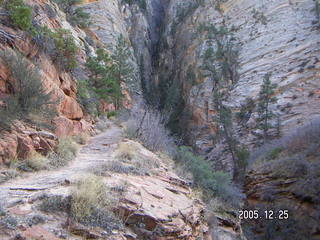 Zion National Park -- Observation Point hike
