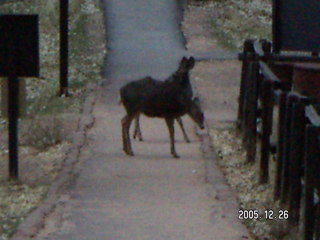 Zion National Park