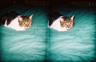 stereo-3D L+R parallel-eye Loreo -- N4372J at Marana