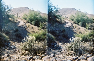stereo-3D L+R parallel-eye Loreo -- N4372J at Marana
