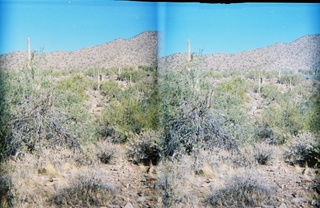 stereo-3D L+R parallel-eye Loreo -- Lost Dog Wash trail